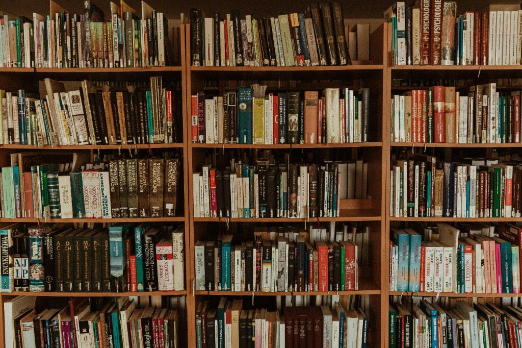 A wall of full bookshelves